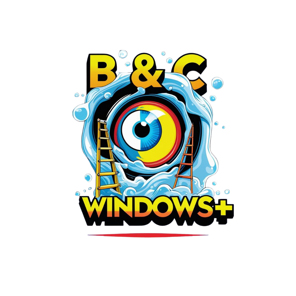 Window cleaning service