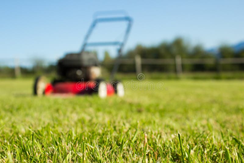 Basic Yard Maintenance