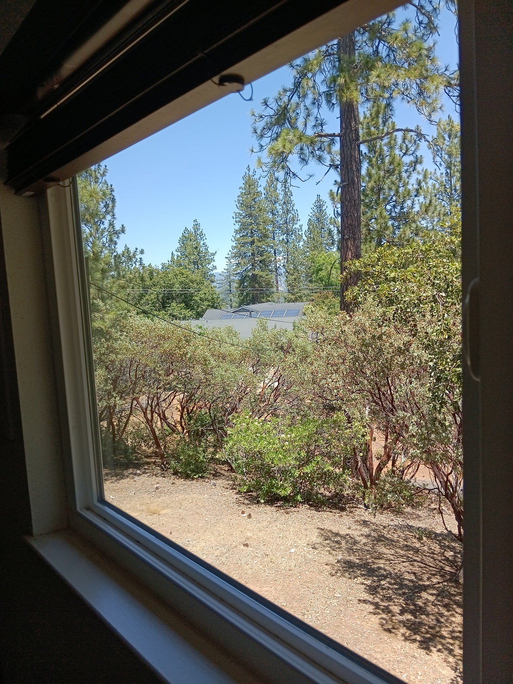 Lot clearing/Fire Safety Clean-Up